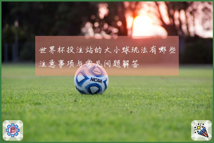 世界杯投注站的大小球玩法有哪些注意事项与常见问题解答