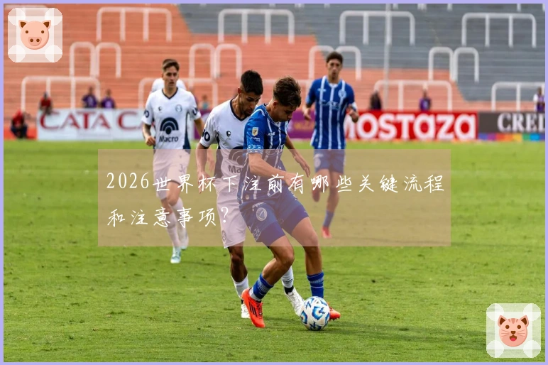 2026世界杯下注前有哪些关键流程和注意事项？