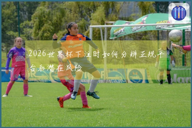 2026世界杯下注时如何分辨正规平台和潜在风险
