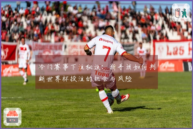 冷门赛事下注秘诀：新手该如何判断世界杯投注的机会与风险