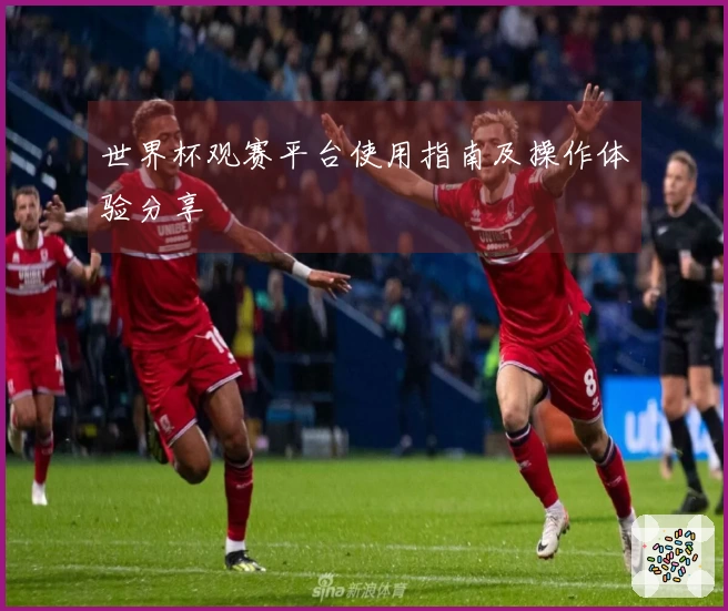 世界杯观赛平台使用指南及操作体验分享