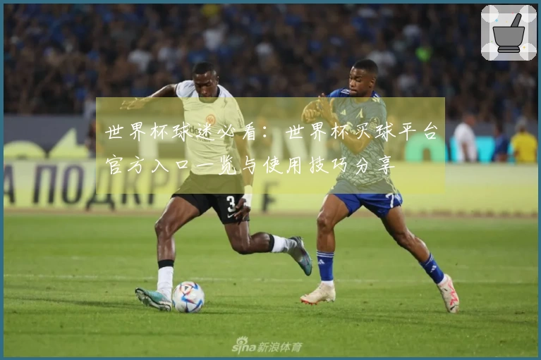 世界杯球迷必看:世界杯买球平台官方入口一览与使用技巧分享