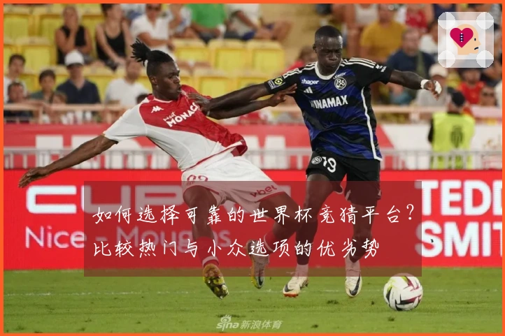 如何选择可靠的世界杯竞猜平台？比较热门与小众选项的优劣势