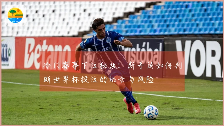 冷门赛事下注秘诀：新手该如何判断世界杯投注的机会与风险
