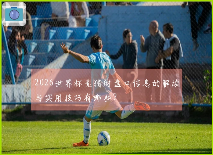 2026世界杯竞猜时盘口信息的解读与实用技巧有哪些？