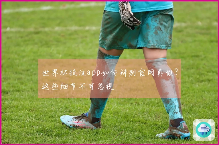世界杯投注app如何辨别官网真假？这些细节不可忽视