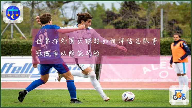 世界杯外围买球时如何评估各队夺冠概率以降低风险