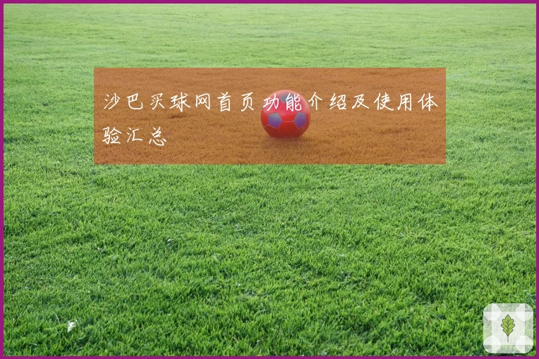 沙巴买球网首页功能介绍及使用体验汇总