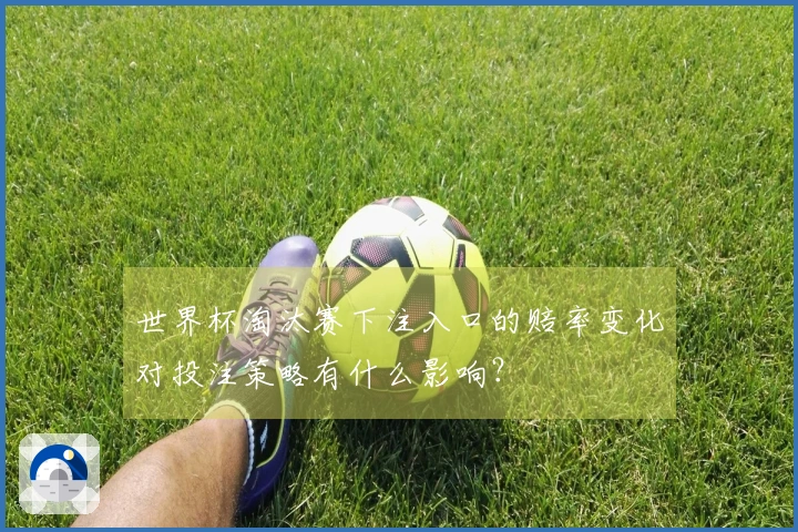 世界杯淘汰赛下注入口的赔率变化对投注策略有什么影响？