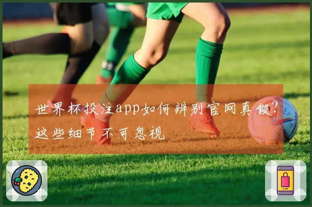 世界杯投注app如何辨别官网真假？这些细节不可忽视
