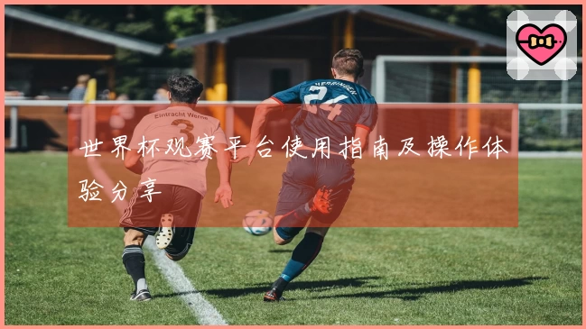 世界杯观赛平台使用指南及操作体验分享