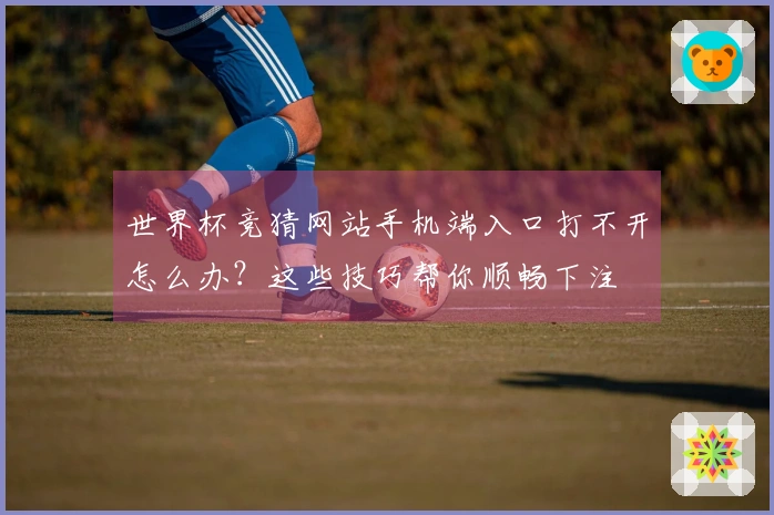 世界杯竞猜网站手机端入口打不开怎么办？这些技巧帮你顺畅下注