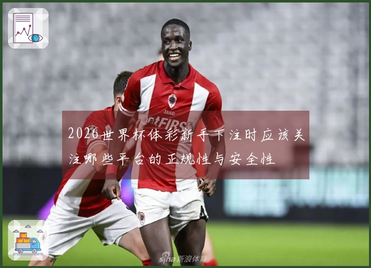 2026世界杯体彩新手下注时应该关注哪些平台的正规性与安全性