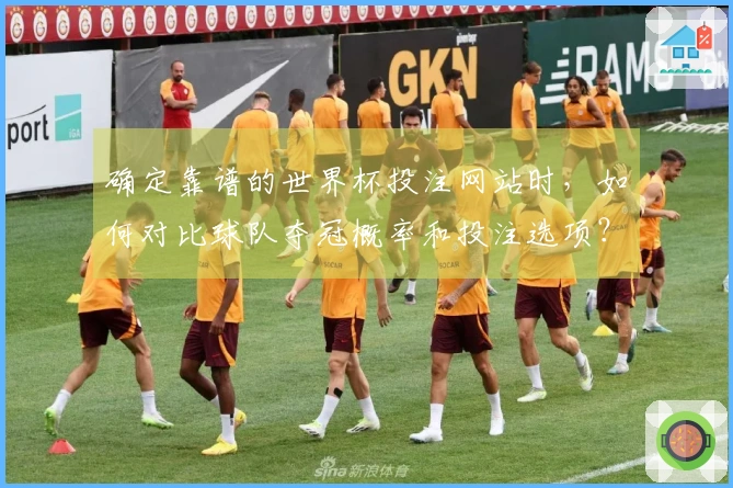 确定靠谱的世界杯投注网站时，如何对比球队夺冠概率和投注选项？