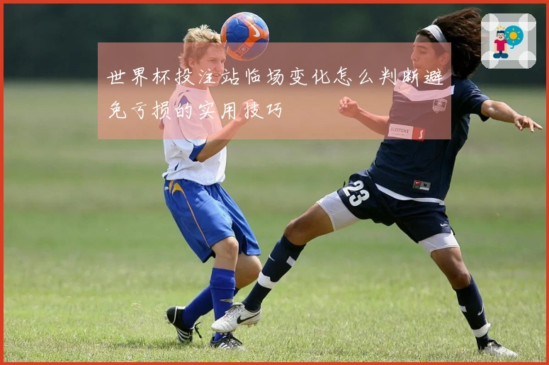 世界杯投注站临场变化怎么判断避免亏损的实用技巧
