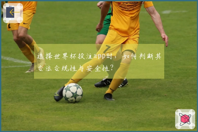 选择世界杯投注app时，如何判断其合法合规性与安全性？