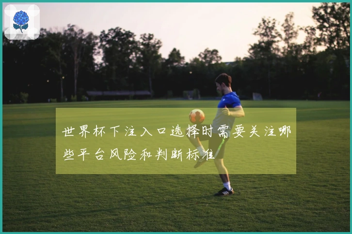 世界杯下注入口选择时需要关注哪些平台风险和判断标准
