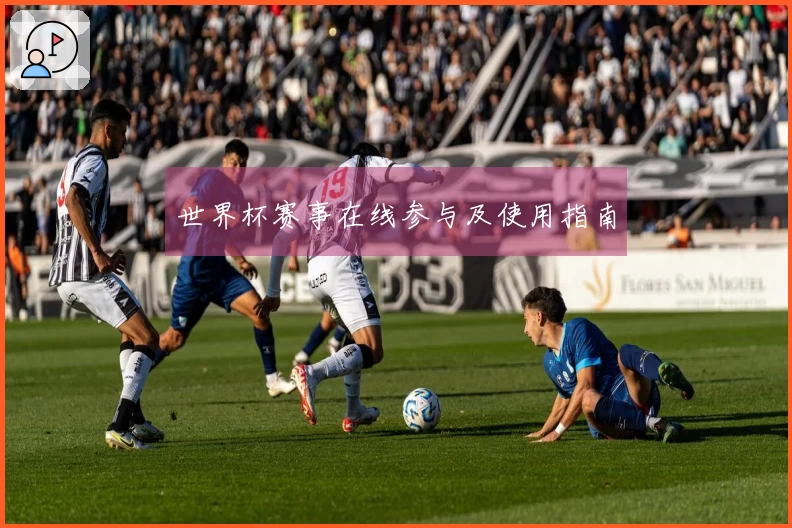 世界杯赛事在线参与及使用指南