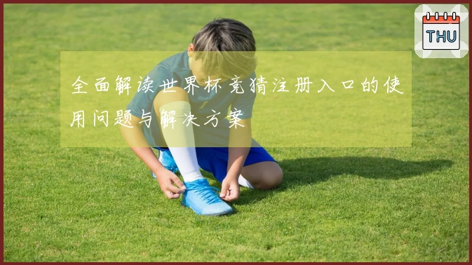 全面解读世界杯竞猜注册入口的使用问题与解决方案