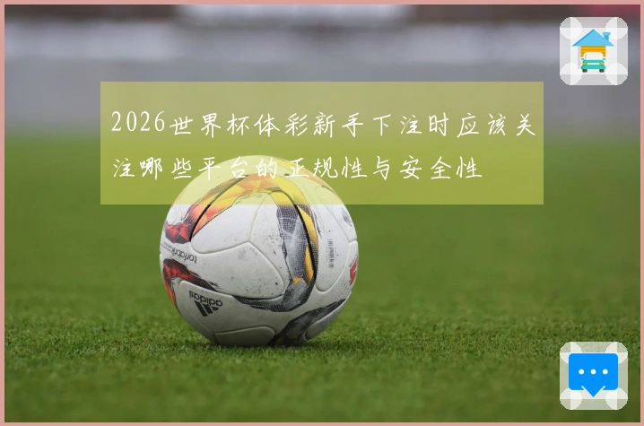 2026世界杯体彩新手下注时应该关注哪些平台的正规性与安全性