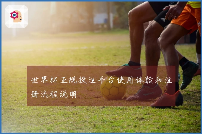 世界杯正规投注平台使用体验和注册流程说明