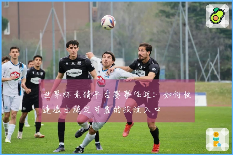 世界杯竞猜平台赛事临近:如何快速选出稳定可靠的投注入口