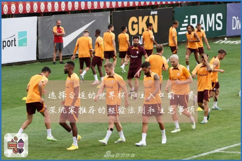 选择合适的世界杯下注入口前，资深玩家推荐的经验法则和注意事项