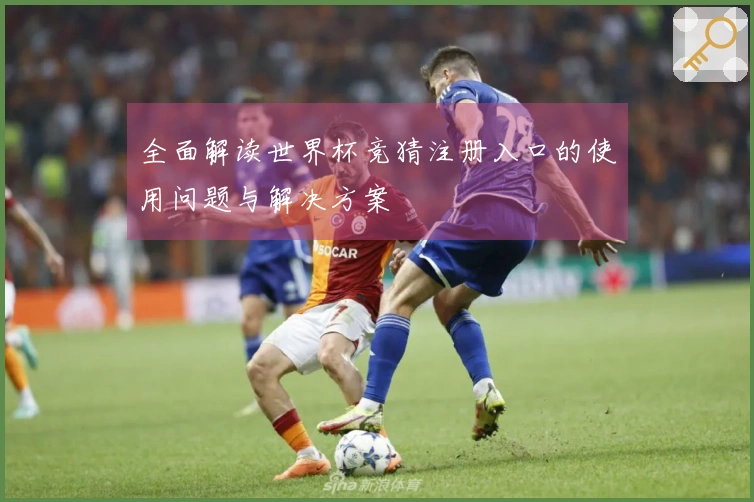全面解读世界杯竞猜注册入口的使用问题与解决方案
