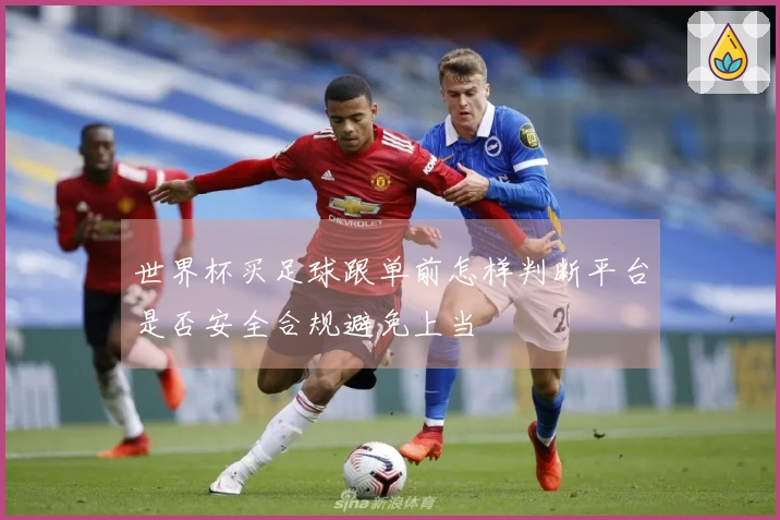 世界杯买足球跟单前怎样判断平台是否安全合规避免上当