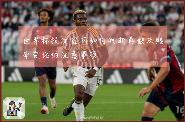 世界杯投注官网如何判断真假及赔率变化的注意事项