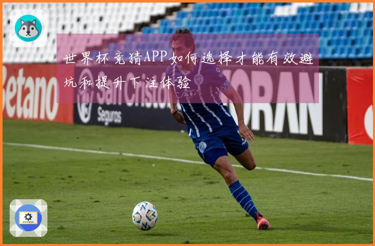 世界杯竞猜APP如何选择才能有效避坑和提升下注体验