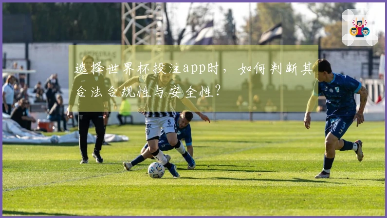 选择世界杯投注app时，如何判断其合法合规性与安全性？