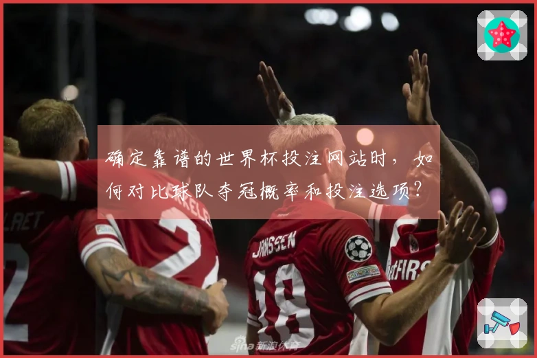确定靠谱的世界杯投注网站时，如何对比球队夺冠概率和投注选项？
