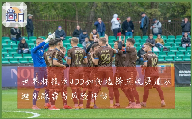 世界杯投注app如何选择正规渠道以避免踩雷与风险评估