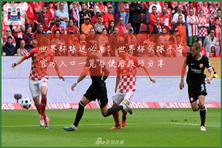 世界杯球迷必看：世界杯买球平台官方入口一览与使用技巧分享